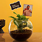 Happy Birthday Personalised Money Plant Terrarium