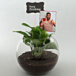 Happy Birthday Personalised Money Plant Terrarium