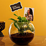 Personalised Birthday Money Plant Terrarium