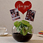 Personalised Love Syngonium Plant Terrarium