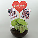 Personalised Love Syngonium Plant Terrarium