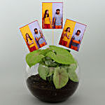 Personalised Syngonium Plant Terrarium