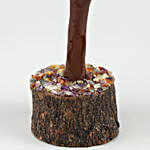 Colourful Stone Wish Tree & Roasted Almond  Chocolates