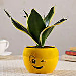 MILT Sansevieria Plant In Wink Emoji Printed Pot