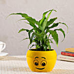 Peace Lily Plant In Cute Emoji Printed Pot