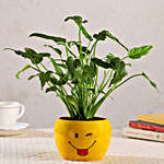Xanadu Plant In Emoji Printed Pot