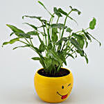 Xanadu Plant In Emoji Printed Pot