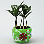 Zamia Plant In Green Hand Painted Pot
