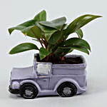Red Philodendron In Resin Jeep Pot