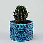 Ball Cactus In Blue Resin Pot