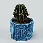 Ball Cactus In Blue Resin Pot