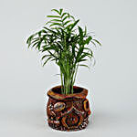Chamaedorea Plant In Natural Color Resin Pot
