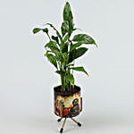 Peace Lily In Buddha Pot