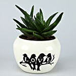 Mini Aloe Vera Plant In Love Birds White Metal Pot