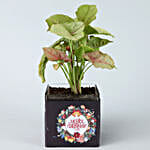 Pink Syngonium Plant In Happy New Year Glass Vase