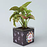 Pink Syngonium Plant In Happy New Year Glass Vase