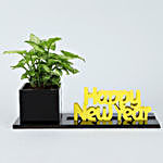 Syngonium Plant In Happy New Year Acrylic Planter