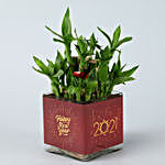 Two Layer Bamboo In Happy New Year Glass Vase