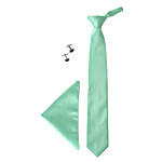 Microfiber Neck Tie Gift Set- Light Green