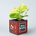 Money Plant With Merry Christmas Sticker