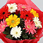 Blissful 10 Mixed Gerberas Bouquet