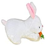 Rabbit With Carrot Stuffed Soft Toy