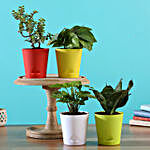 Set Of 4 Best Plants With Self Watering Pots