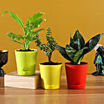 3 Plants Set With Beautiful Self Watering Pots