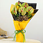 5 Green Anthuriums & Gypso Fillers Bouquet