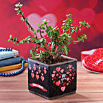 Jade Plant In Love You Always Forever Sticker Vase