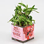 Two Layer Bamboo Plant In You n Me Sticker Glass Vase