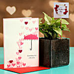 Syngonium Plant In Glass Vase With V-Day Tag & Greeting Card