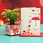 Syngonium Plant In Sticker Vase & Greeting Card