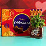 Two Layer Bamboo In Sticker Vase & Cadbury Celebrations