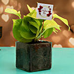 Money Plant In Glass Vase With V-Day Tag