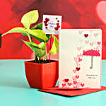 Money Plant In Plastic Pot With Greeting Card and V Day Tag