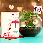 Money Plant In Round Vase With Greeting Card and V Day Tag