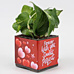 Money Plant In Sticker Vase and Greeting Card