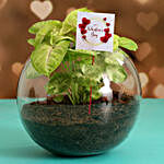 Syngonium Plant In Glass Vase With V Day Tag