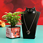 Syngonium Plant In Sticker Vase and Jewellery Set
