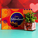 Two Layer Bamboo Plant In Sticker Vase and Cadbury Celebrations