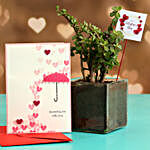 Jade Plant In Glass Vase With V Day Tag and Greeting Card