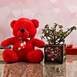 Jade Plant In Love You Vase & Teddy