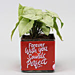 Syngonium Plant In Forever With You Vase & Red Heart