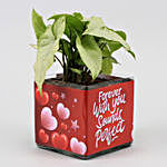 Syngonium Plant In Forever With You Vase & Red Heart