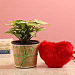 Syngonium Plant In Jute Wrapped Pot & Red Heart