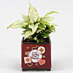 Syngonium Plant In Lucky to Have You Vase & Red Heart