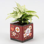 Syngonium Plant In Lucky to Have You Vase & Red Heart
