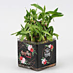 Two Layer Bamboo Plant In Be Mine Vase & Teddy