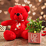 Two Layer Bamboo Plant In Love Vase & Red Teddy